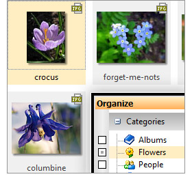 ACDSee Photo Manager 2009