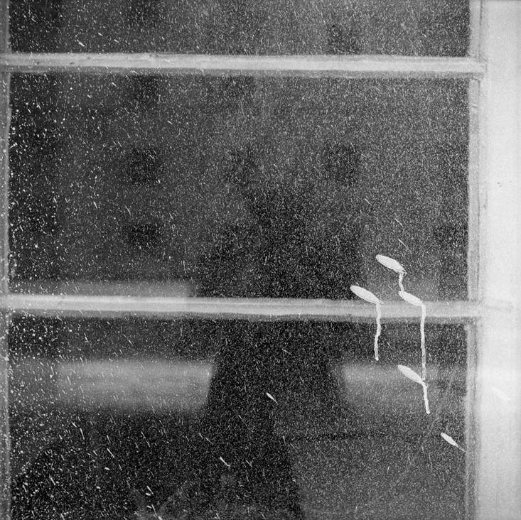 Alexandre Slusarev blurred reflection Moscow 1977