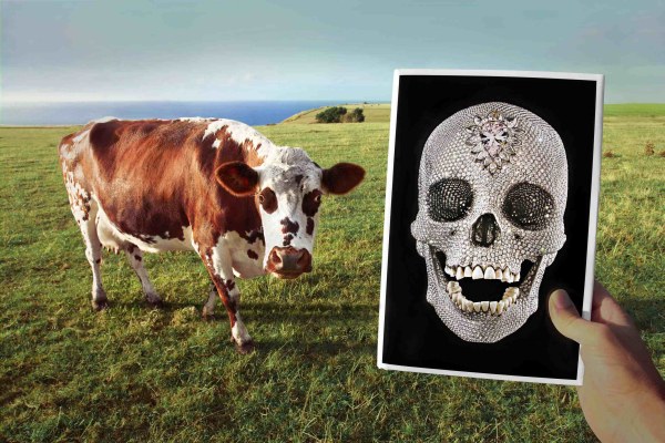 by Marcos Lopez Cow & skull Normandie. 2010