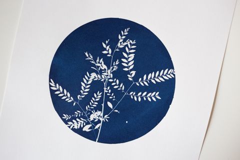Nora Vrublevska Cyanotype Impressions